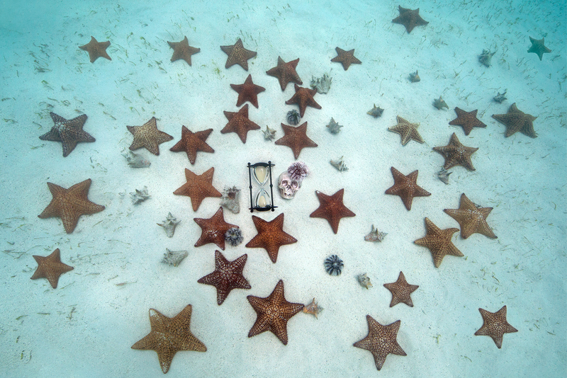 Constellation 1. This photo captures the threatened starfish habitats.